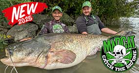 Novinky pro lov sumců od MadCat 2025