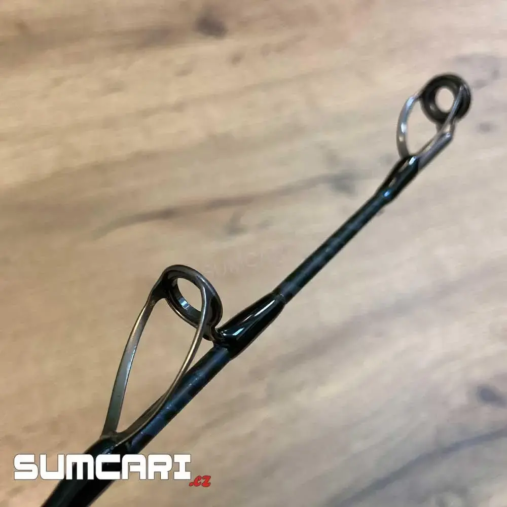 Sportex prut Catfire CS-2 Vertical 1.95m 170-300g, 2 díl