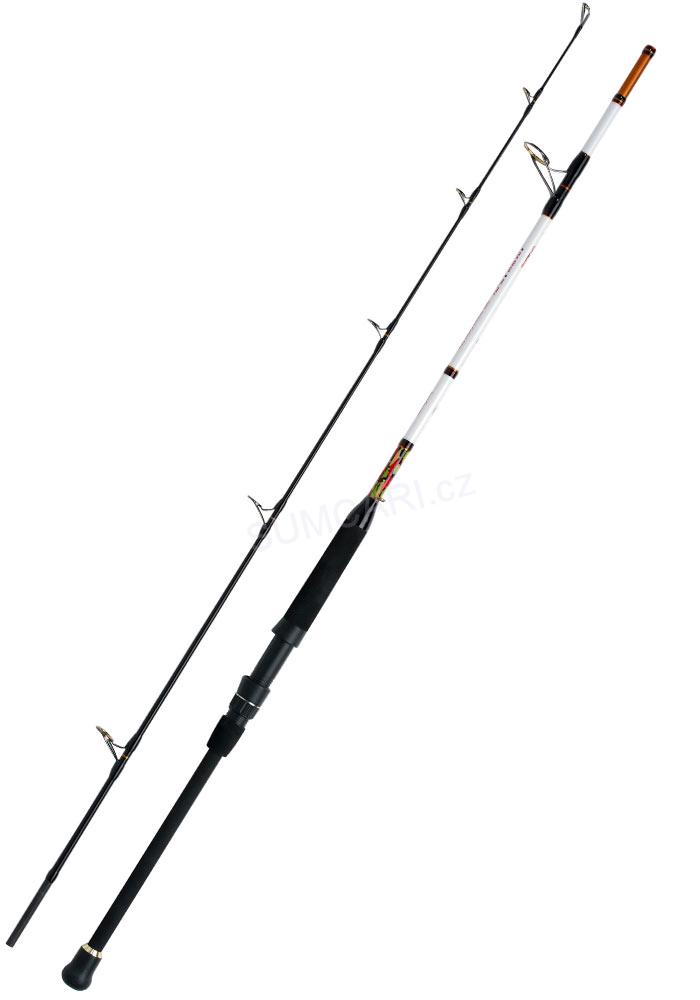 WFT prut International Ocean Buster 2.45m 100-400g, 2 díl