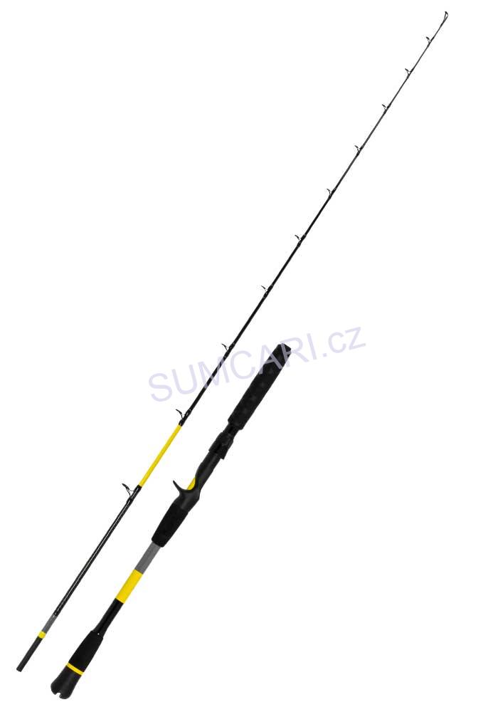 Black Cat prut Perfect Passion X Casting 2.20m 30-150g, 1+1 díl