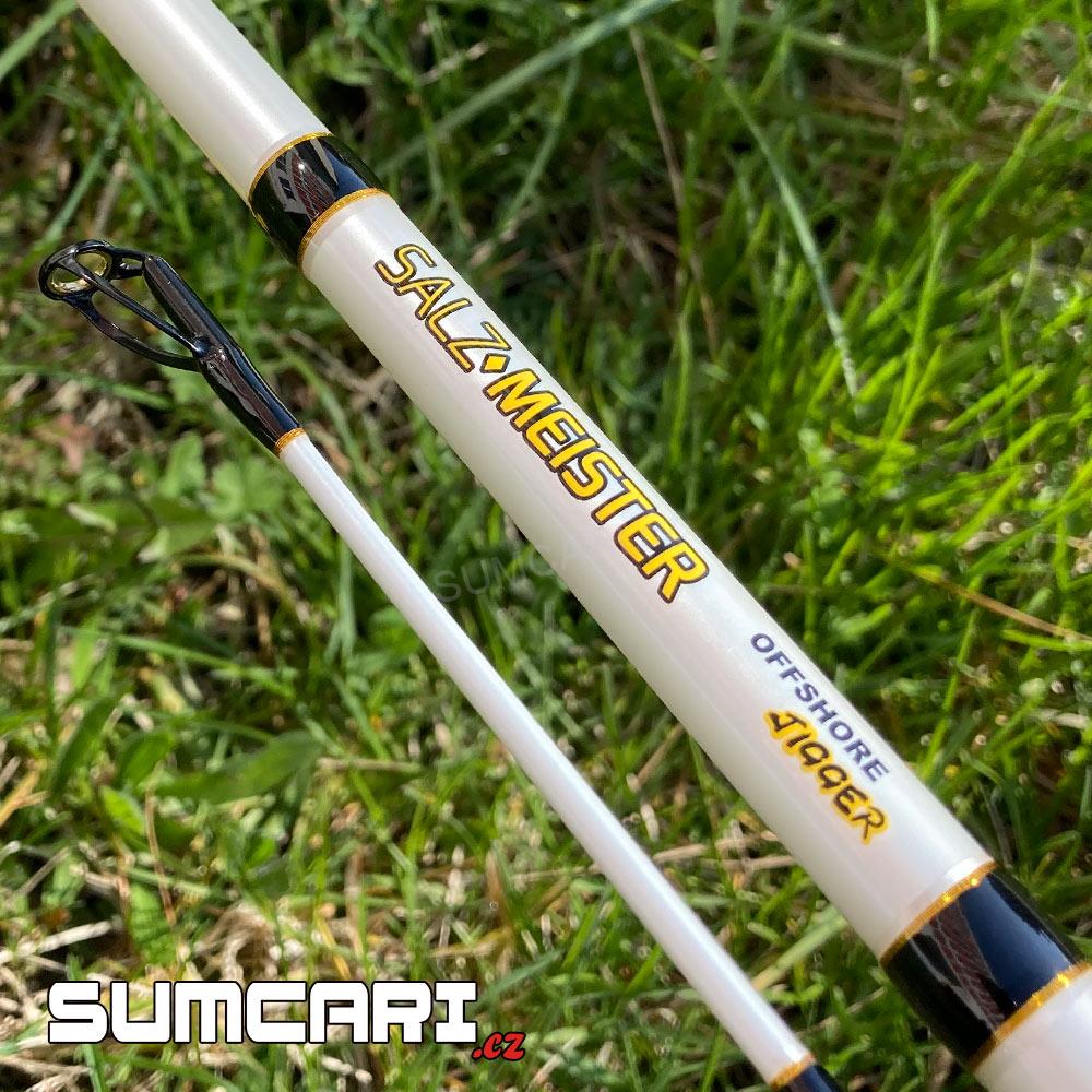 WFT prut Salzmeister Coastal Jigger 2.75m 40-160g, 2díl
