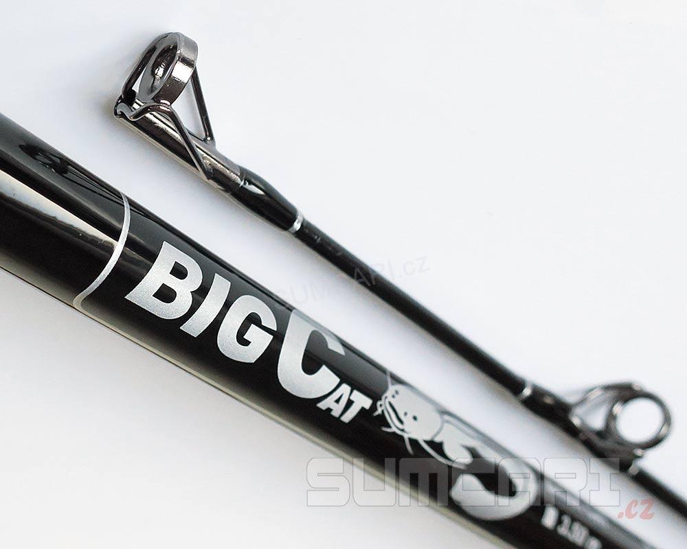 WFT prut Big Cat Bank Cat 3.50m 200-1 000g, 2díl