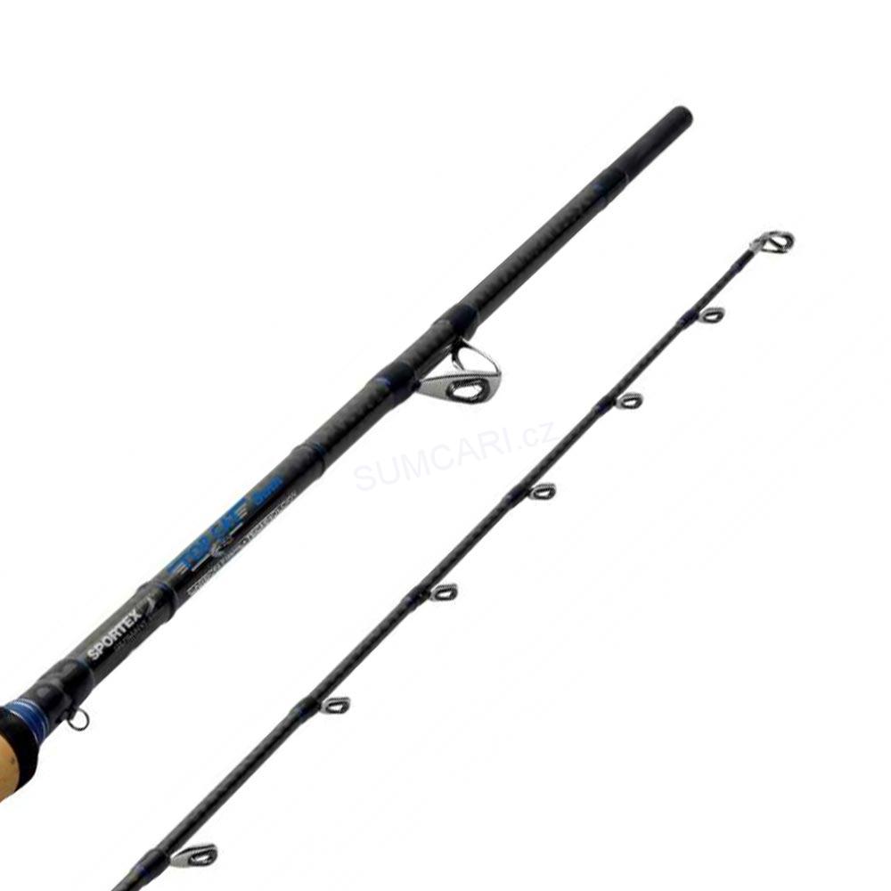 Sportex prut Top Cat Boat TW2437 2.45m 100-300g, 2 díl