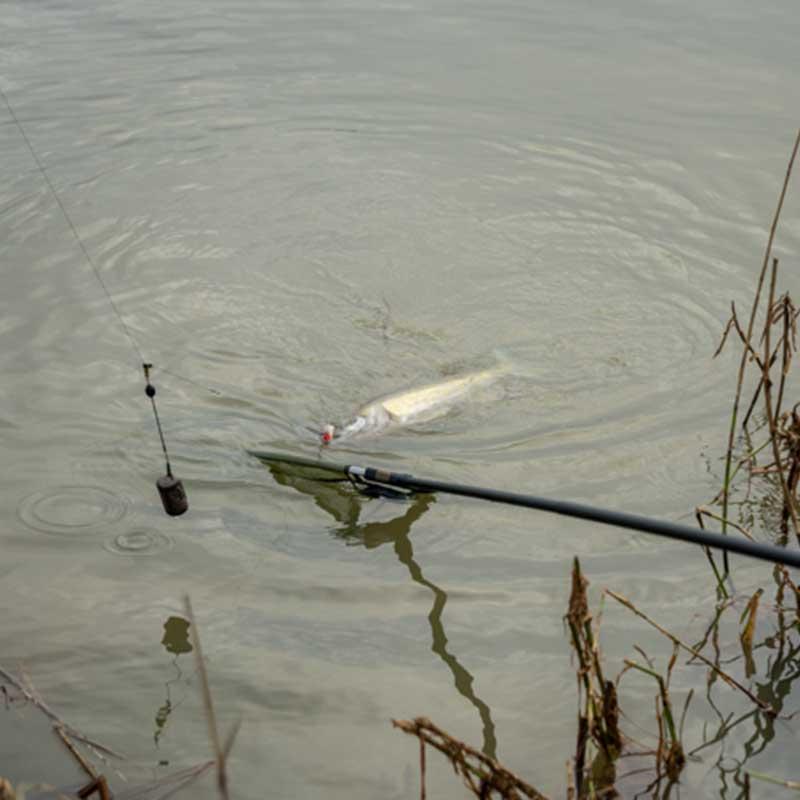 Korum podběráková rukojeť Limitless Power Handle Tele, 3.00m