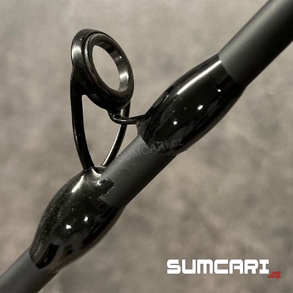 Black Cat prut BLACK Passion G2 spin 2.70m 60-200g, 2 díl