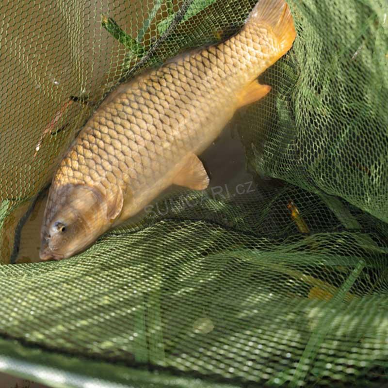 Korum podběráková hlava Power Folding Triangle Latex, 30", 75cm