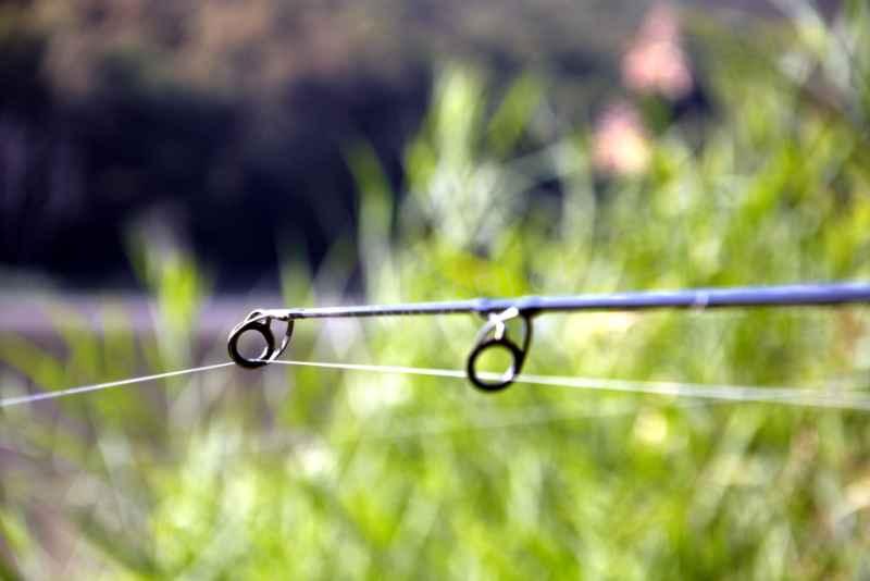 Sportex prut Revolt Carp 12" 3.65m 3.25lb, 2 díl