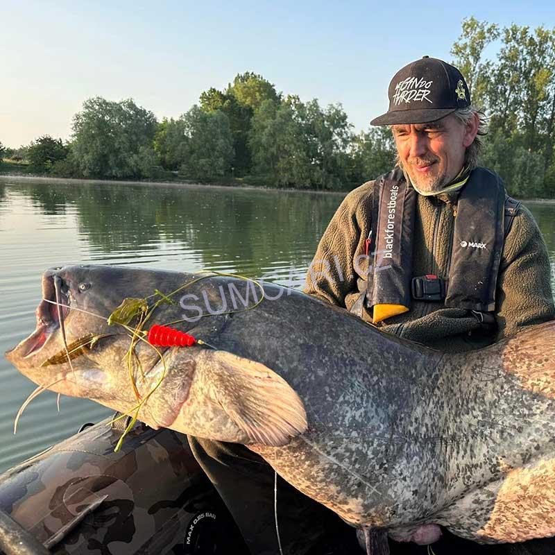 Black Cat návazec na sumce Baitfish Tree Rig