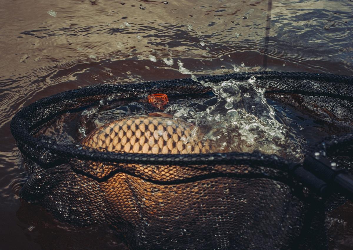 Giants fishing podběrák Deluxe Landing Net Rubber Medium 70x60cm