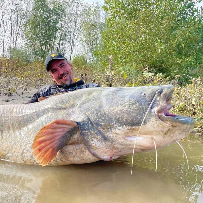 Black Cat návazec na sumce Micro U-Float Rig