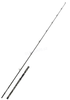 WFT prut Big Cat Boat Cat 2.10m 150-550g, 1+1díl