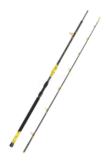 Delphin prut HAZARD BxG 2.55m 505g, 2 díl