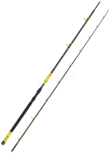 Delphin prut HAZARD BxG 3.05m 505g, 2 díl