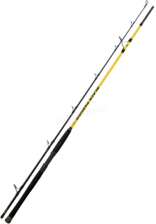 Black Cat prut BLACK Passion G2 spin 2.40m 60-200g, 2 díl