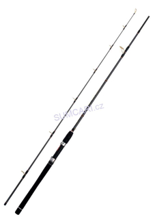WFT prut SEA Sparrow Dorsch Jigger 2.20m 40-160g, 2 díl