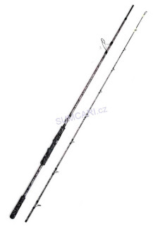 VAGNER prut Magic Bow 2.20m 30-150g, 2 dílný